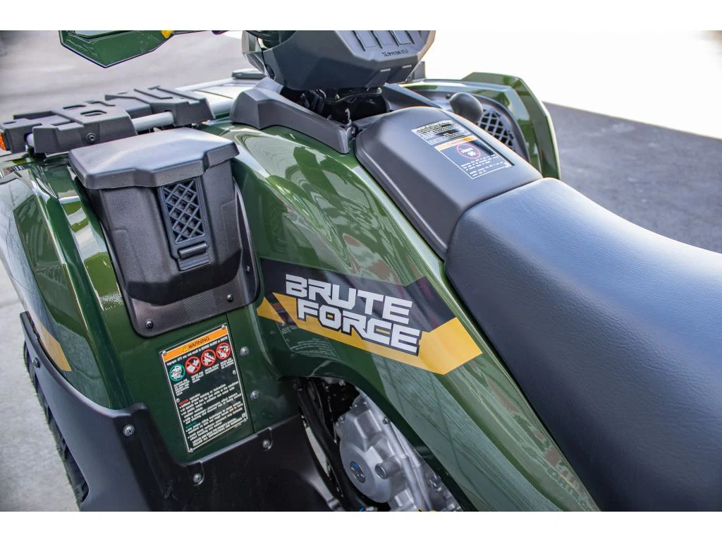 New 2026 Metallic Gold Sparkle Deep Green Kawasaki  image 18