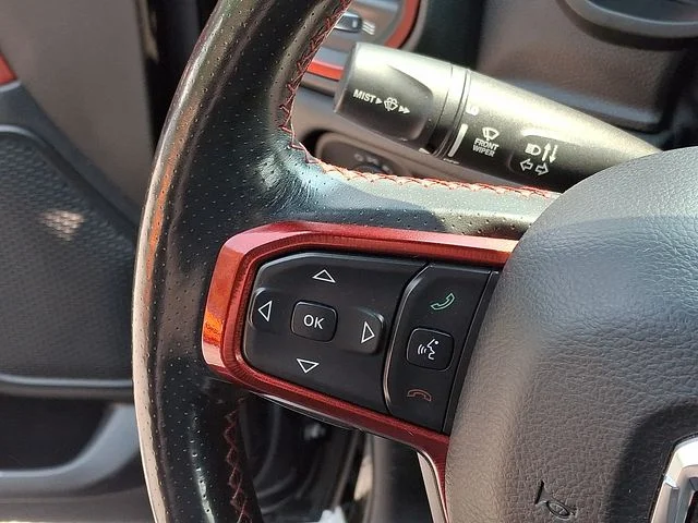 Used 2019 Black Ram Rebel image 20
