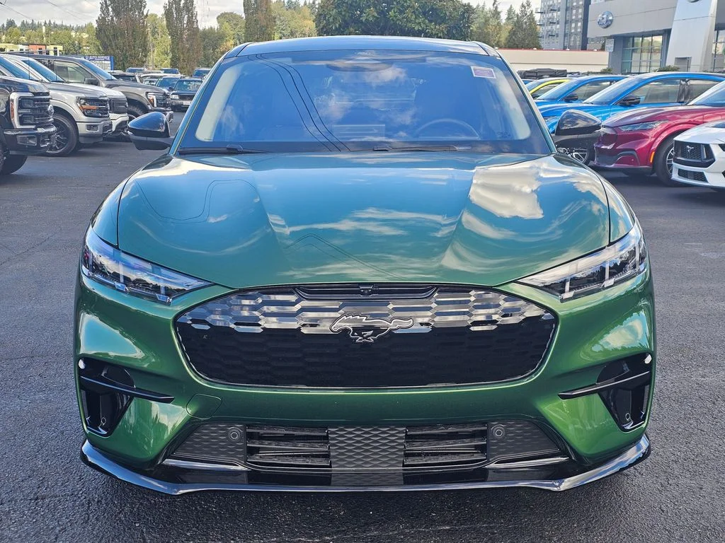 New 2025 Eruption Green Metallic Ford Premium image 2