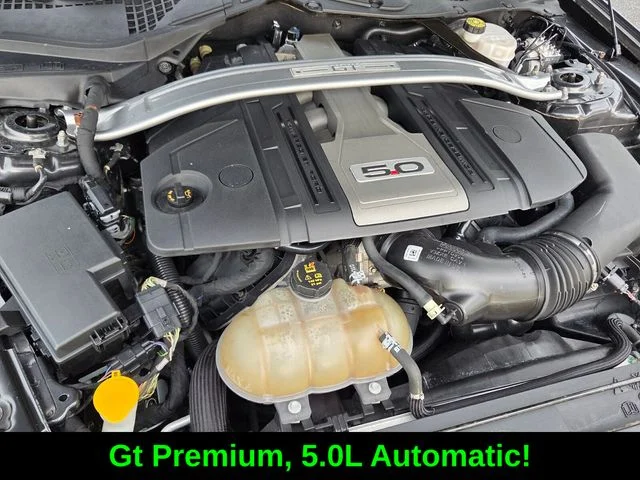 Used 2019 Gray Ford GT Premium image 17