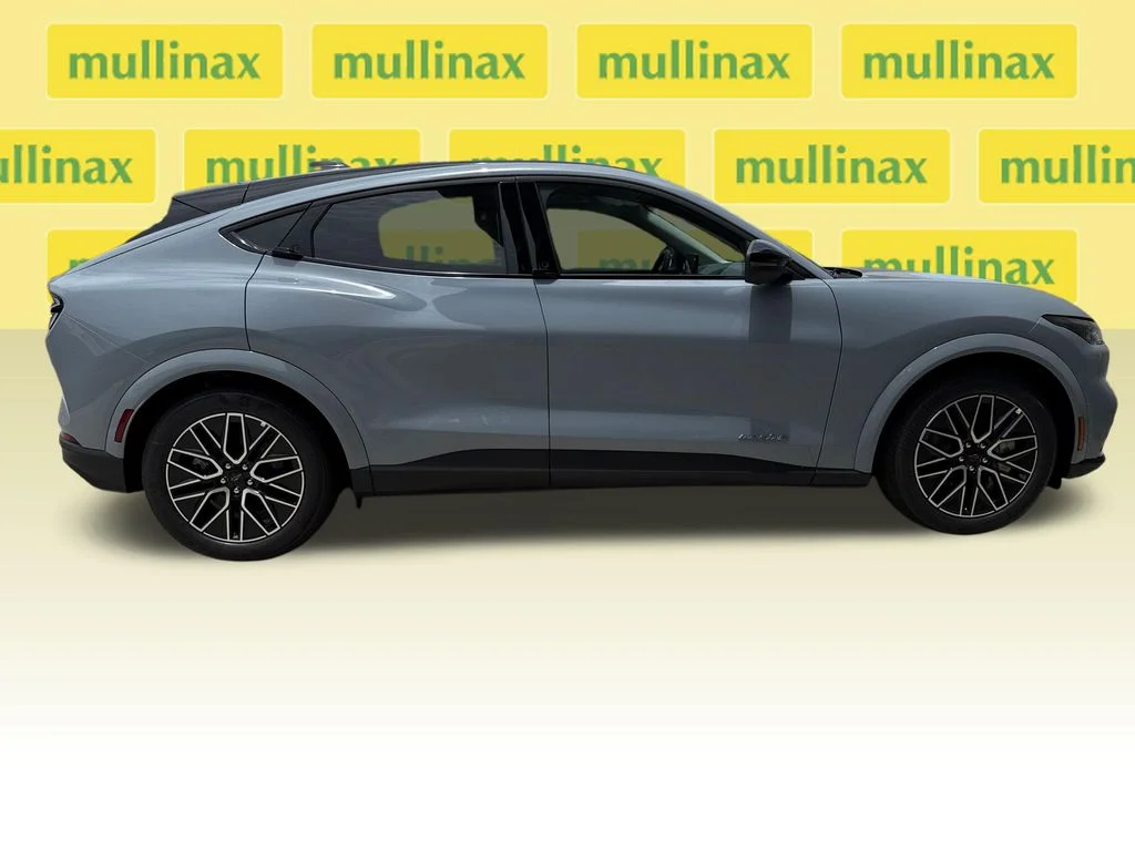 New 2026 Gray Ford Premium image 17