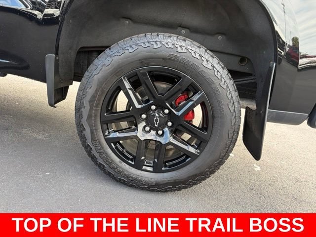 2025 Chevrolet Silverado 1500 LT Trail Boss - Photo 10
