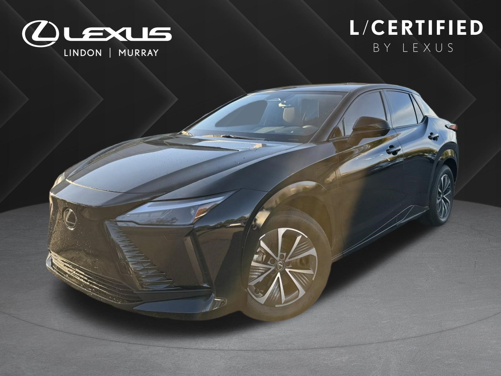 2023 Lexus RZ