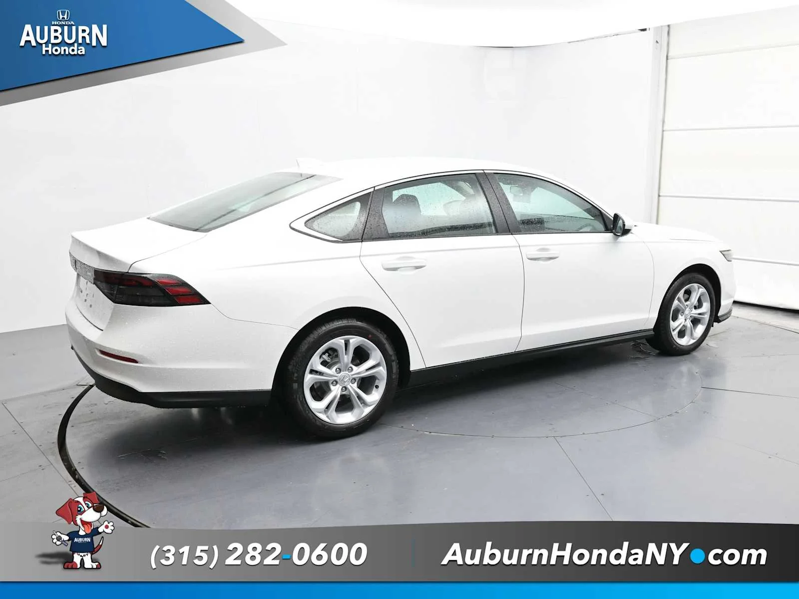 New 2025 Platinum White Pearl Honda LX image 13