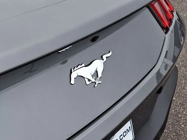 New 2026 Carbonized Gray Metallic Ford EcoBoost® Fastback image 14