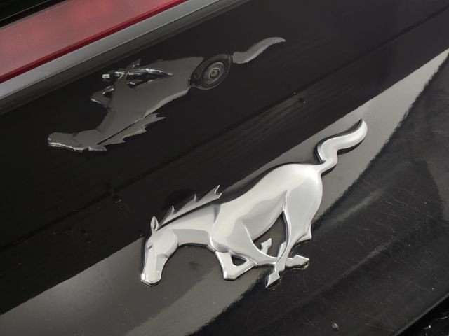 2024 Ford Mustang EcoBoost Premium - Photo 9