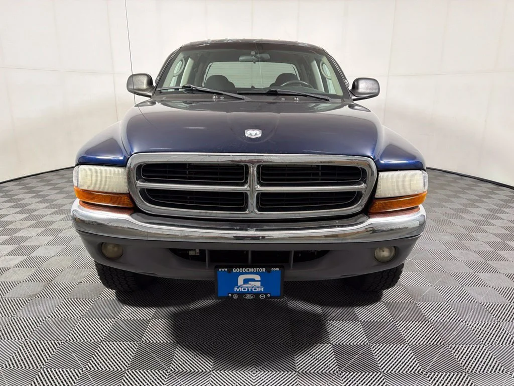 Used 2001  Dodge Sport image 3