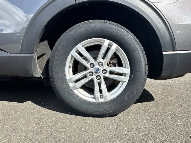 Photo 41