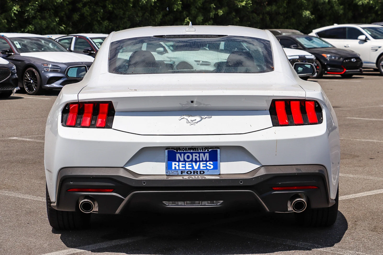 New 2026 Oxford White Ford EcoBoost® Fastback image 7