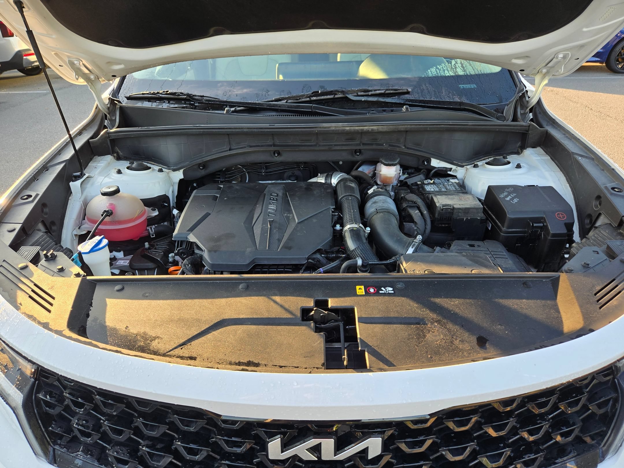 Used 2023 Glacial White Pearl Kia SX image 19