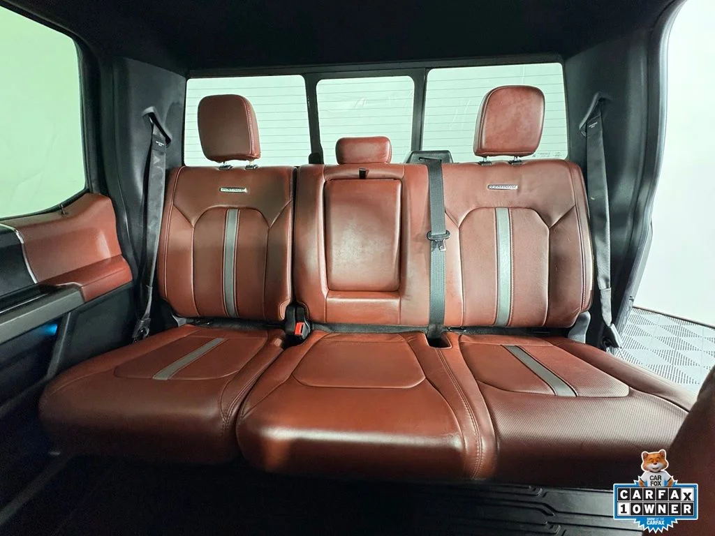 Used 2018 Black Ford Platinum image 6