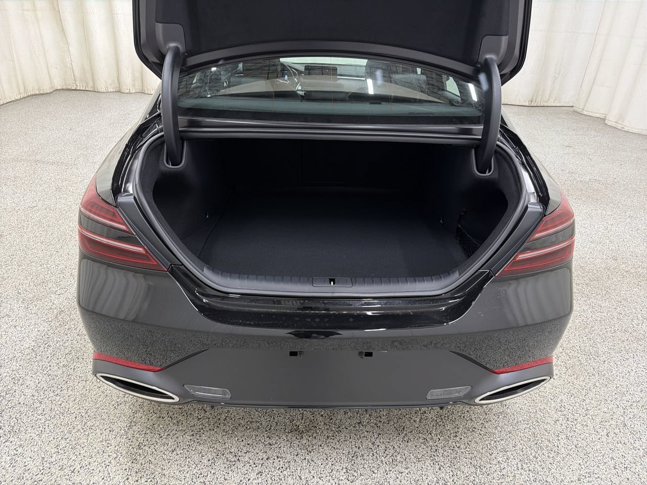 New 2027 Vik Black Genesis Standard image 17