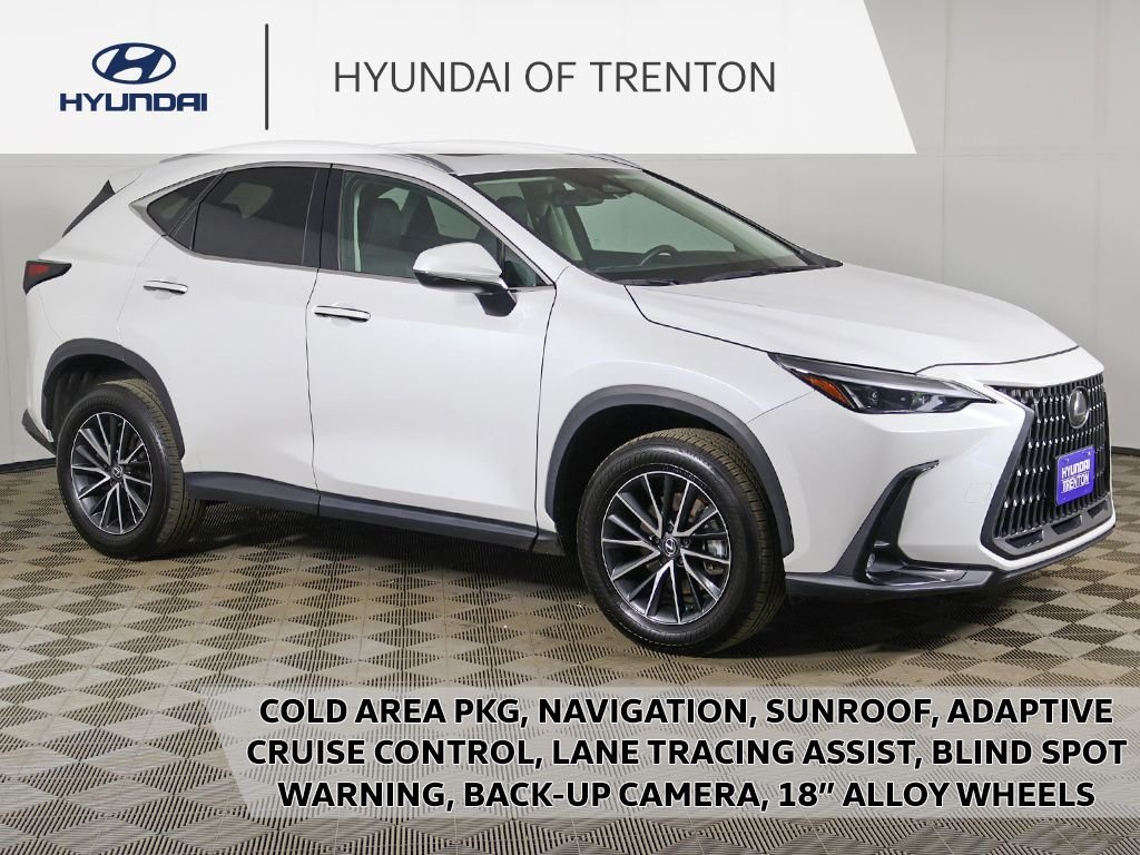2024 Lexus NX 350 250 AWD's photo