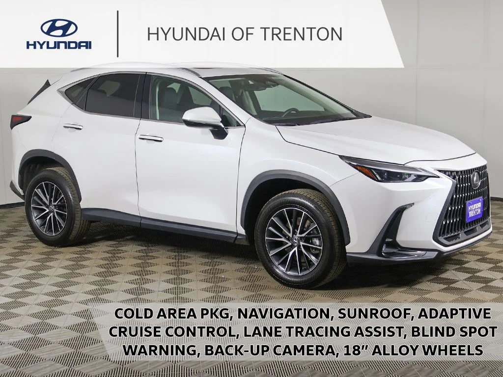 2024 Lexus NX