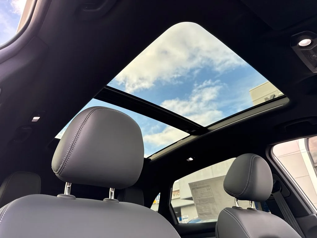 New 2025 Silver VinFast Plus image 16