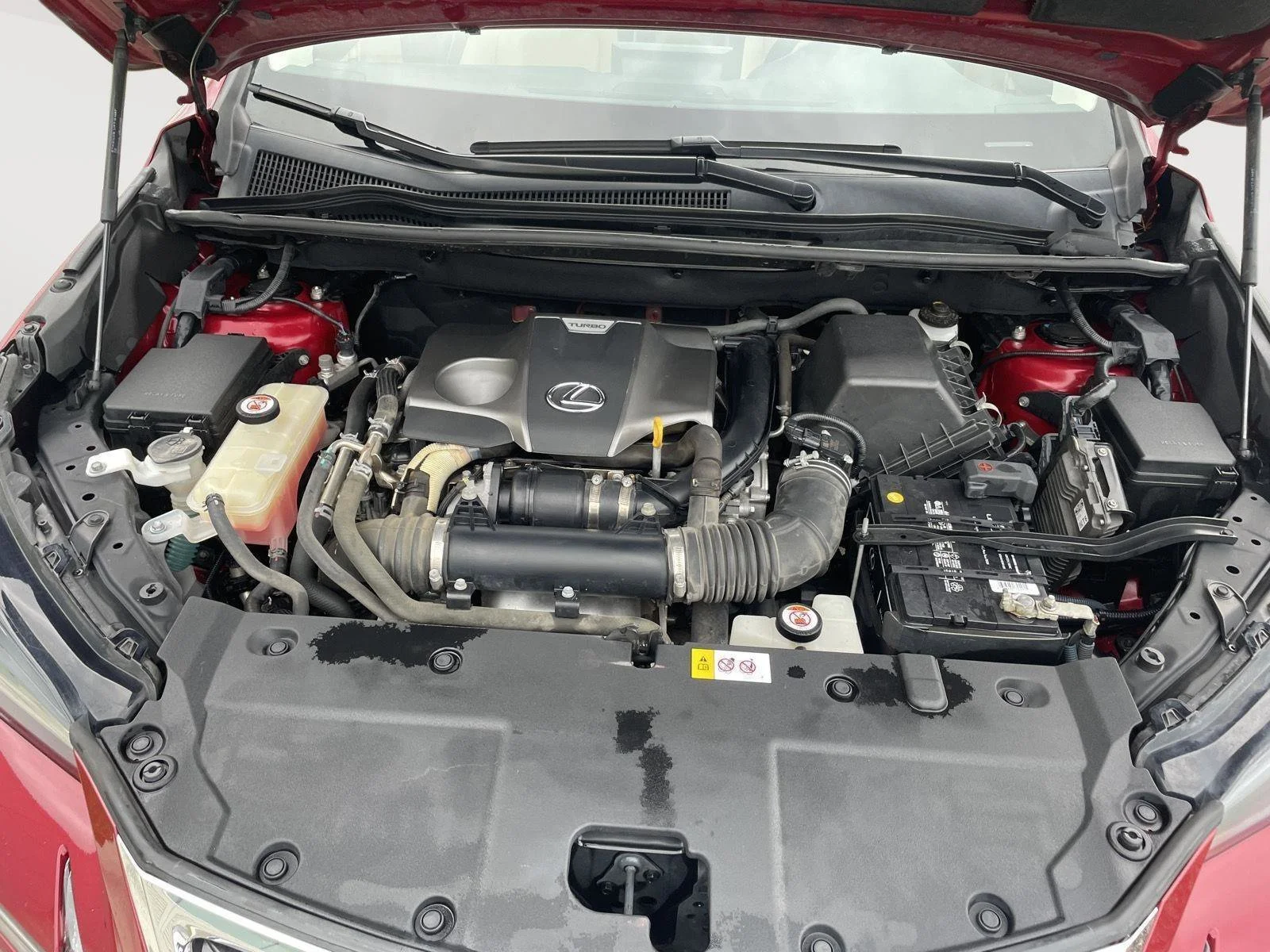 Used 2017 Matador Red Mica Lexus NX Turbo image 17