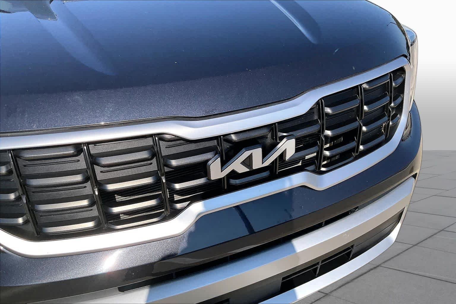 Used 2025 Panthera Metal Kia S image 28