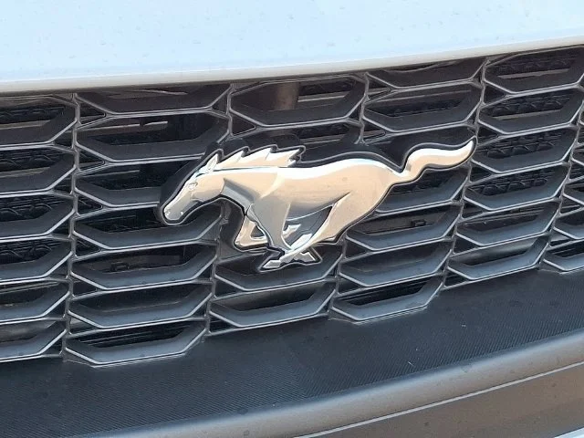 New 2026 Avalanche Gray Ford EcoBoost Premium image 5