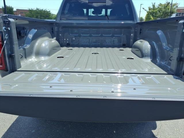 New 2026 Ceramic Gray Clearcoat RAM Black Express image 28