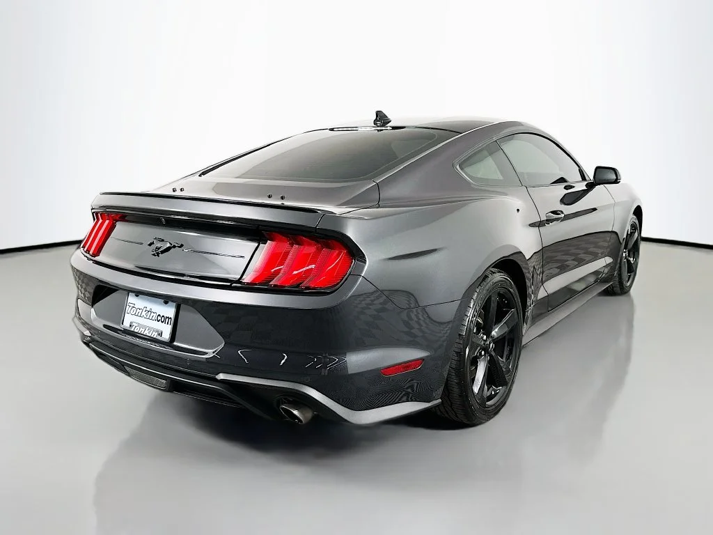 Used 2023 Gray Metallic Ford EcoBoost Premium image 8