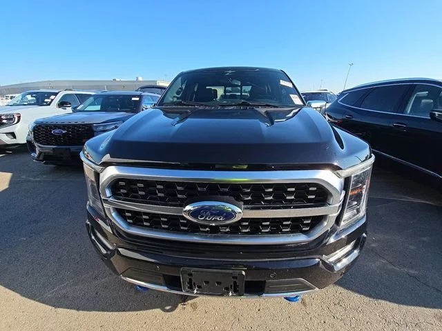 Used 2023 Black Ford Platinum image 2