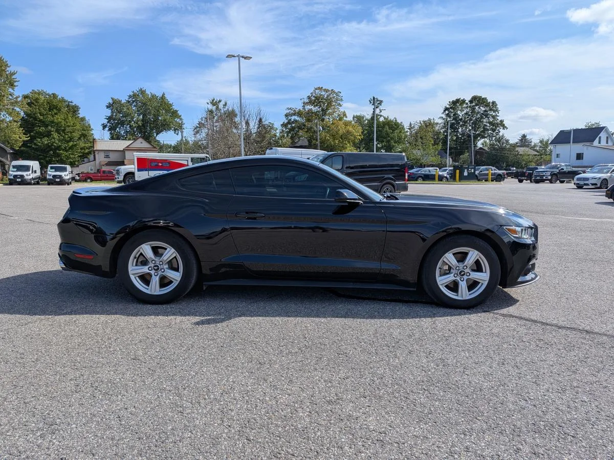 Used 2015 Black Ford 2dr Fastback image 4