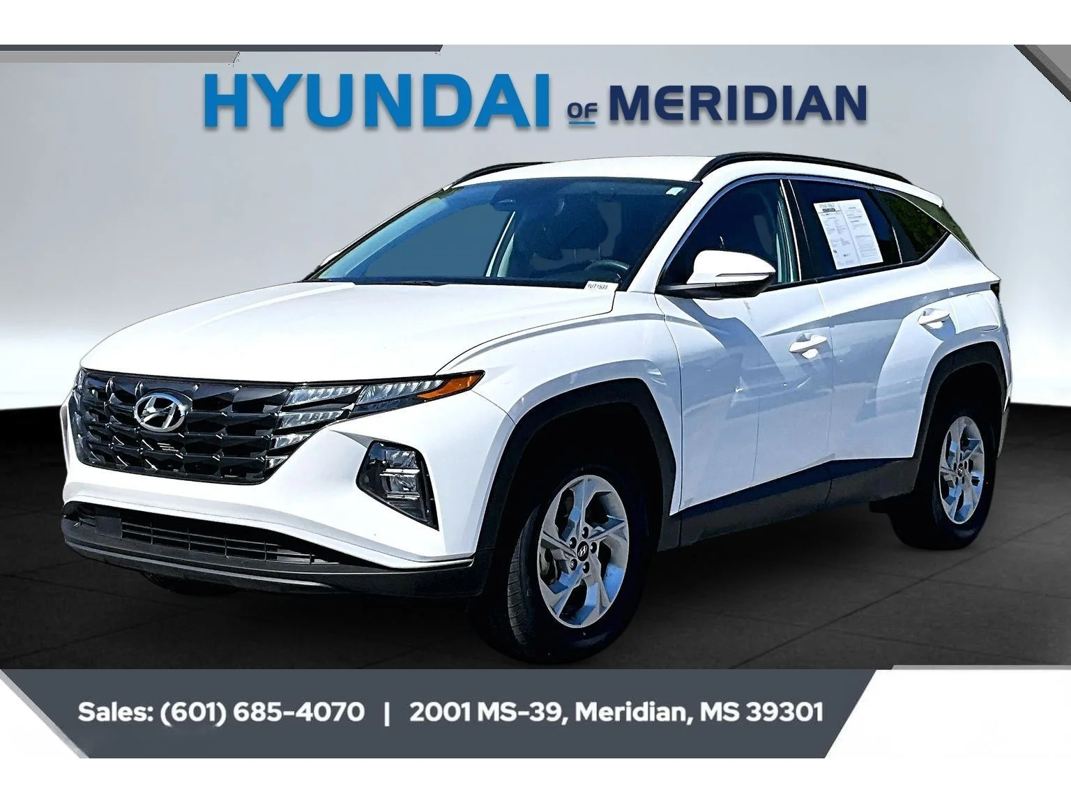 Used 2023 Serenity White Pearl Hyundai SEL image 10