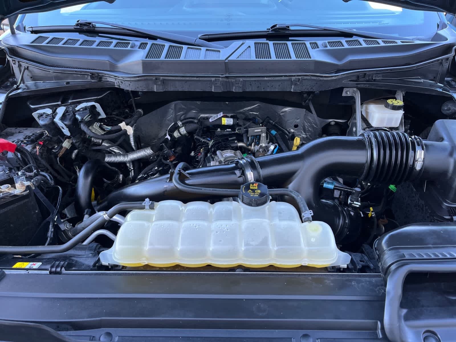 Used 2023 Area 51 Blue Ford XL image 15