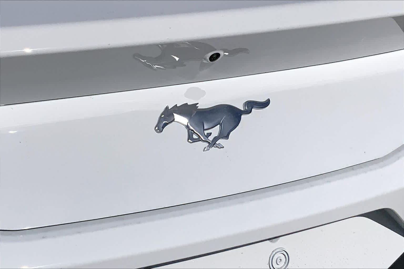 New 2026 Oxford White Ford EcoBoost® Fastback image 13