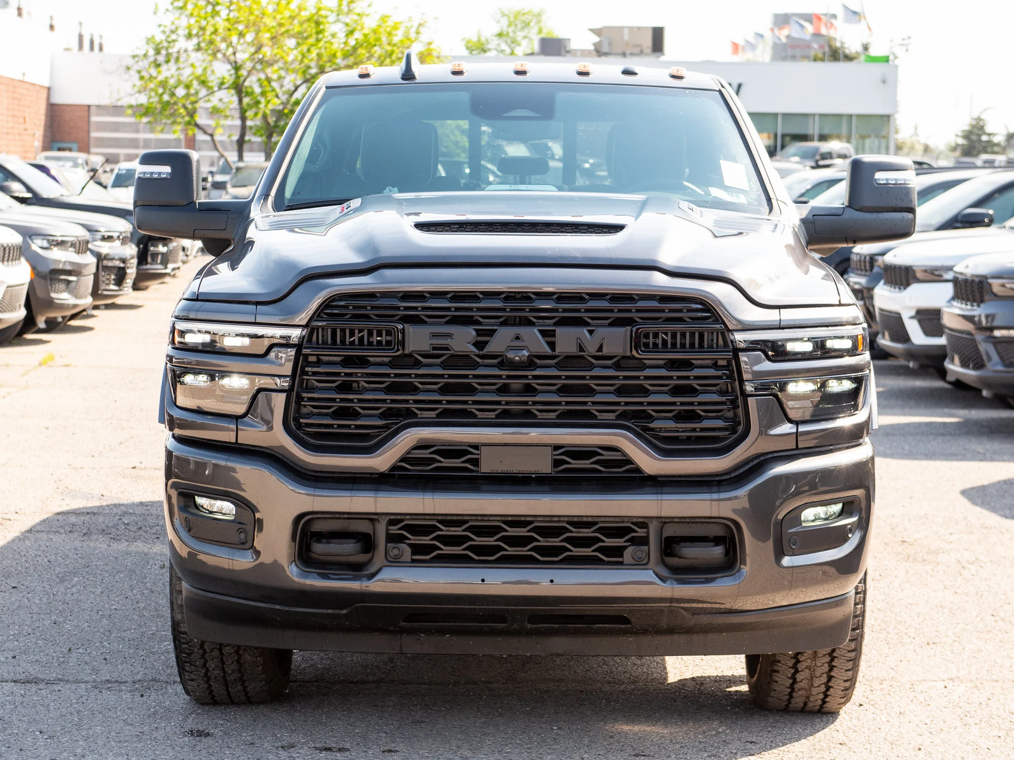 New 2026 Grey RAM Limited* image 10