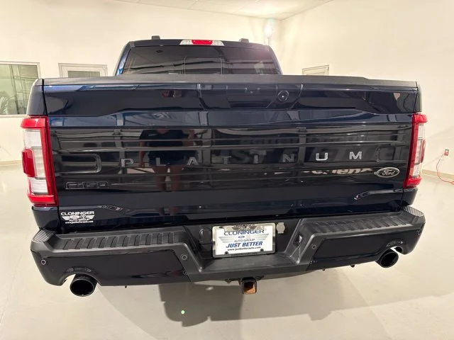 Used 2023 Blue Ford Platinum image 7