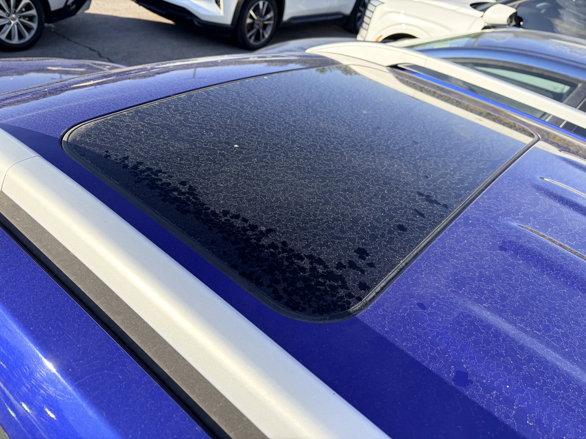 Used 2020 Intense Blue Hyundai SEL image 9
