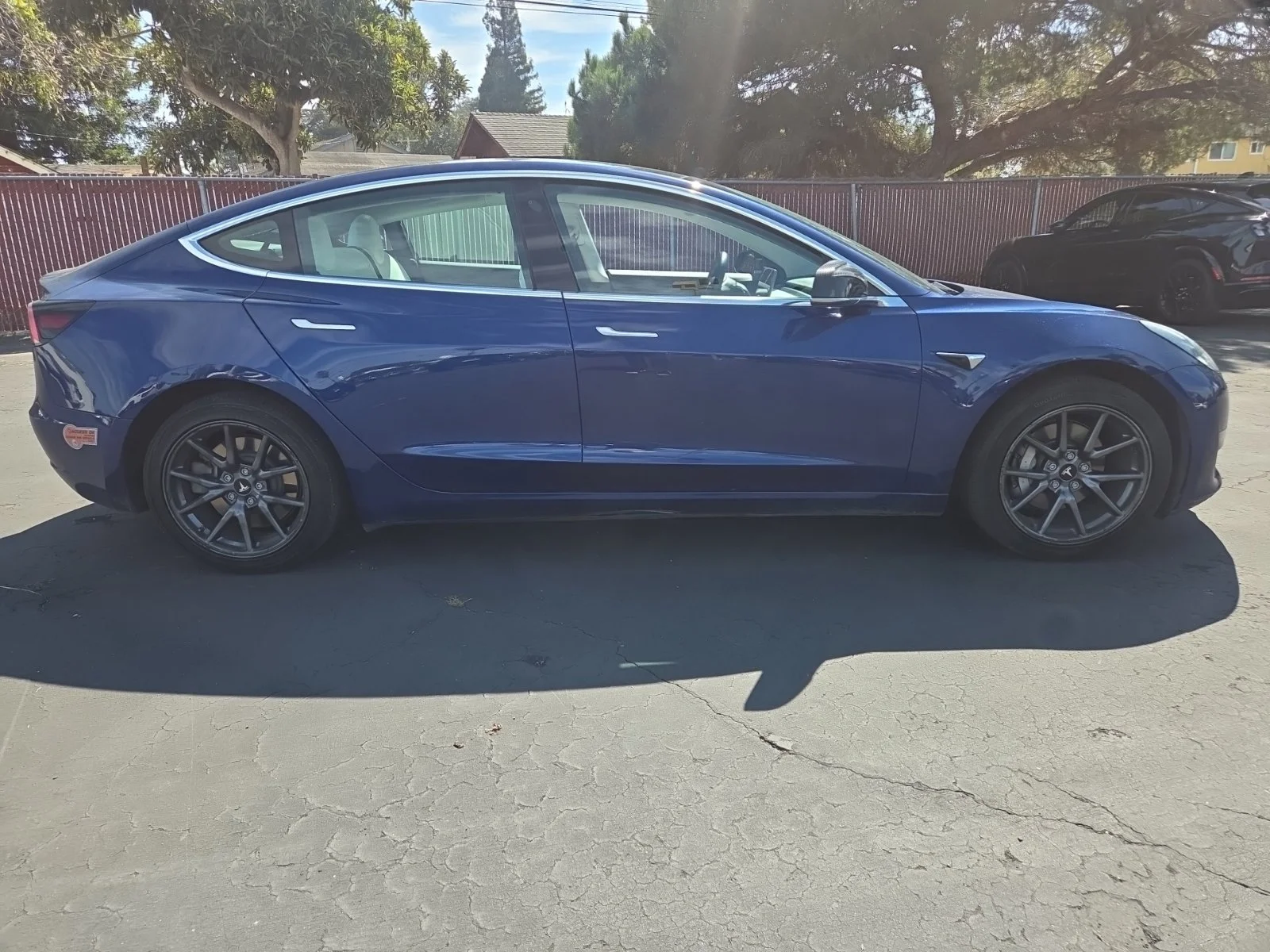 Used 2019 Blue Tesla Standard Range Plus image 3