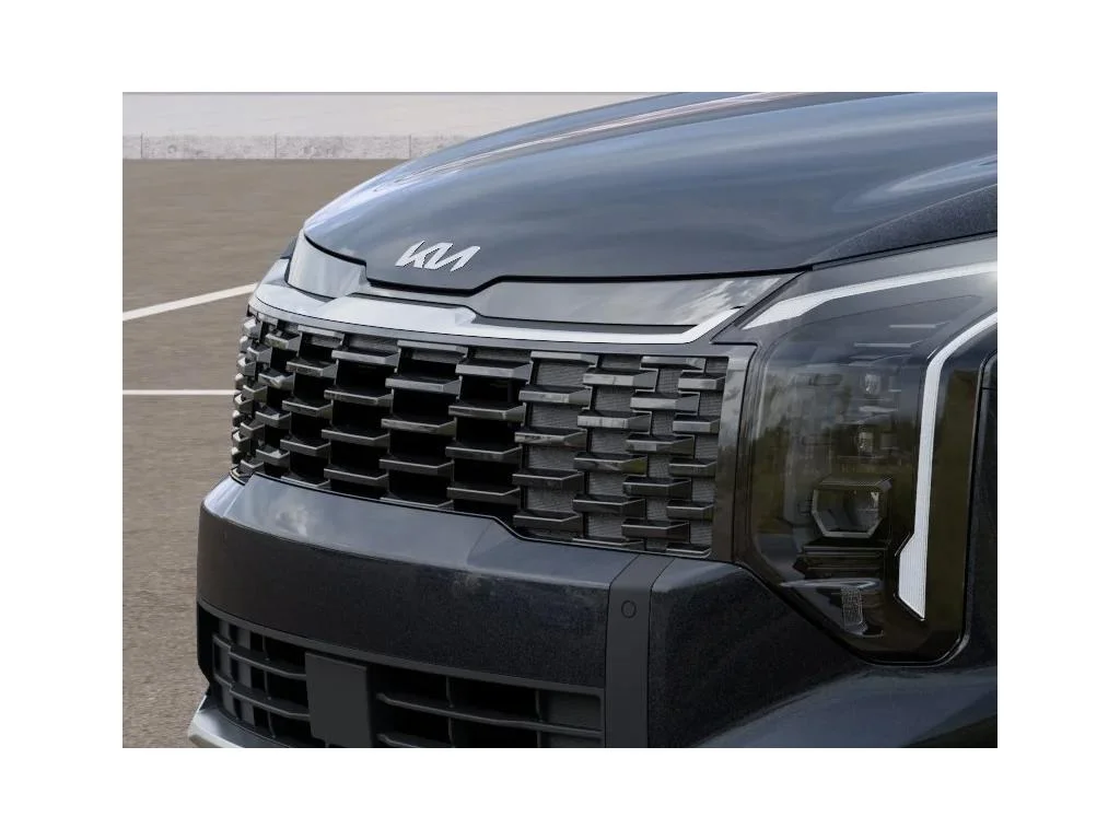 New 2026 Panthera Metal Kia EX image 12