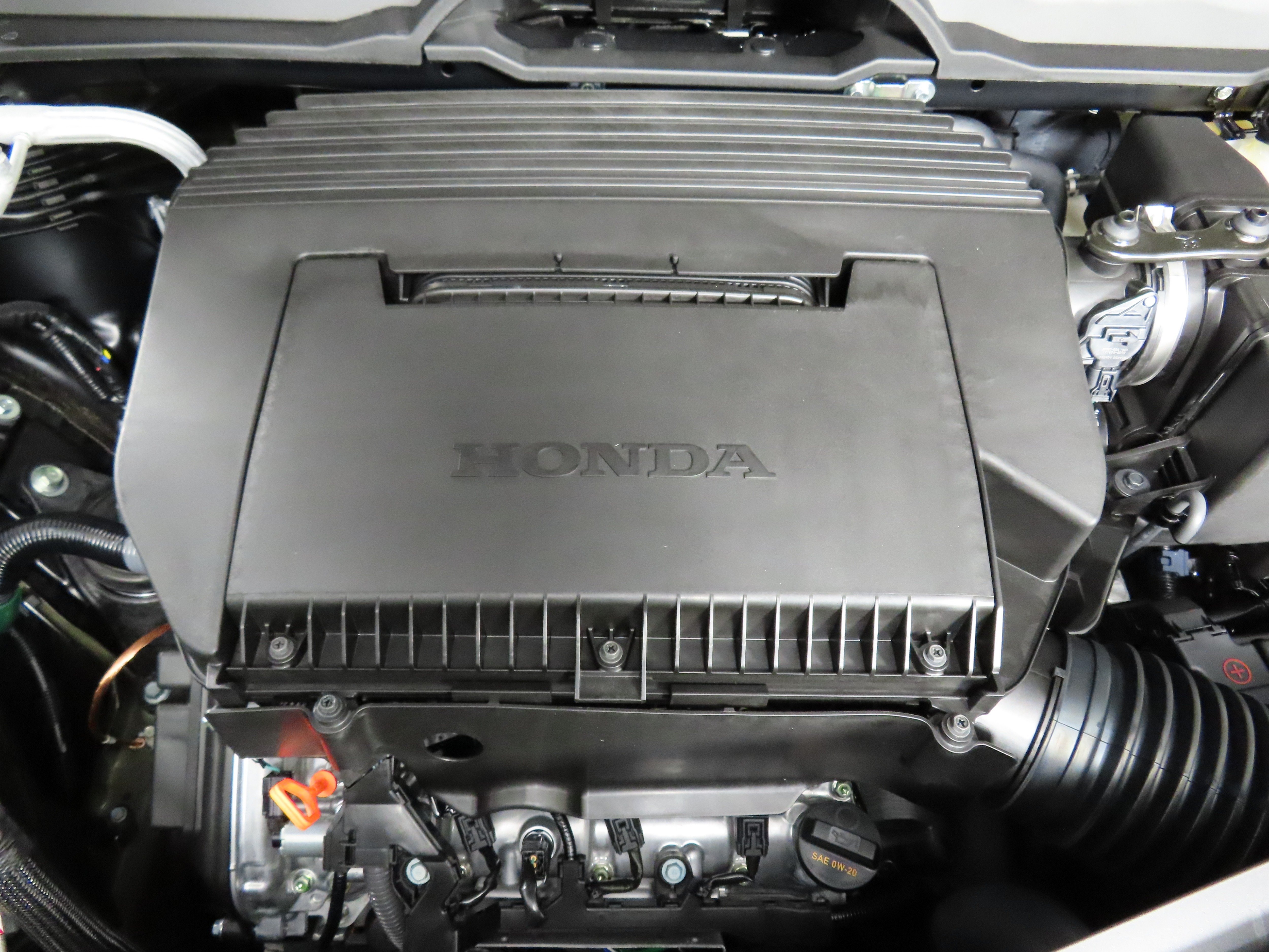 New 2026 Crystal Black Pearl Honda Elite image 9