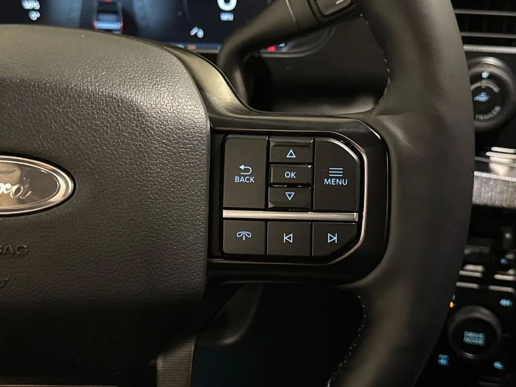 New 2026 Black Ford Platinum image 40
