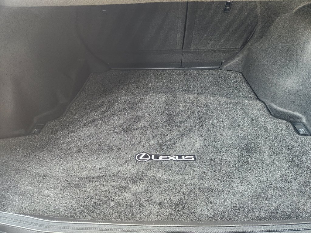 Certified Used 2024 Iridium Lexus 300 image 33