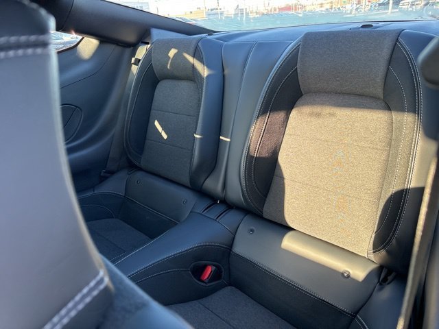 2026 Ford Mustang EcoBoost Fastback - Photo 63