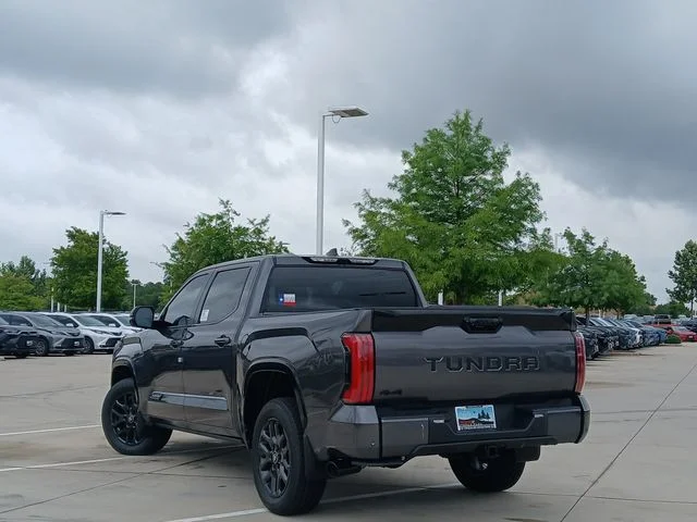 New 2026 Magnetic Gray Metallic Toyota Platinum image 6