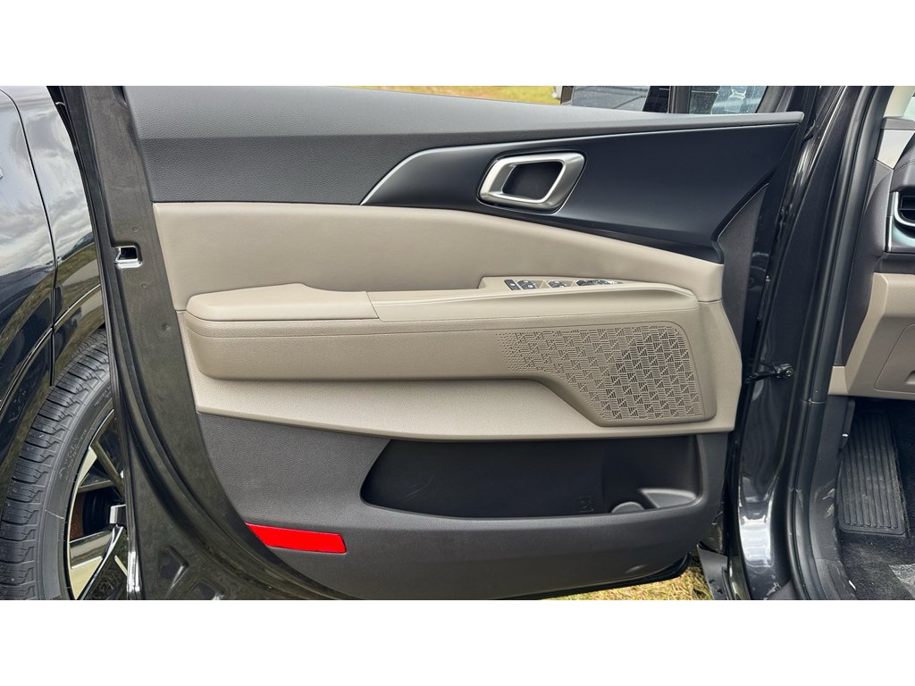 New 2026 Panthera Metal Kia LX image 25