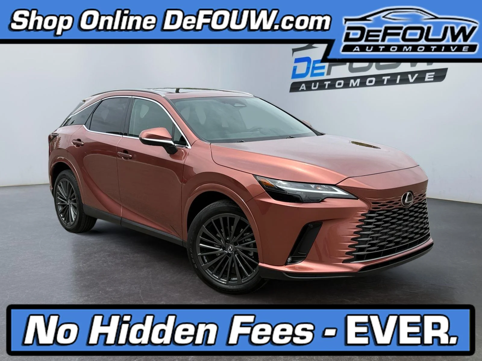 2025 Lexus RX 350h 350h Premium AWD's photo