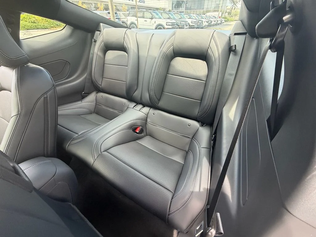 New 2026 Avalanche Gray Ford EcoBoost® Premium Fastback image 11