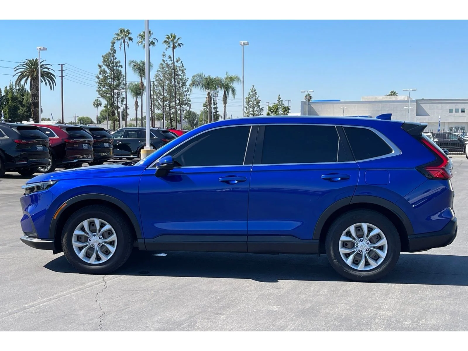 Used 2024 Canyon River Blue Metallic Honda LX image 2