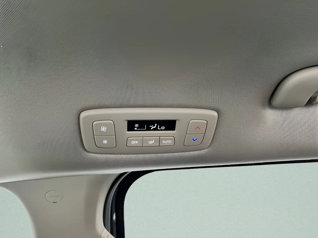 Used 2026 Panthera Metal Kia LXS image 26