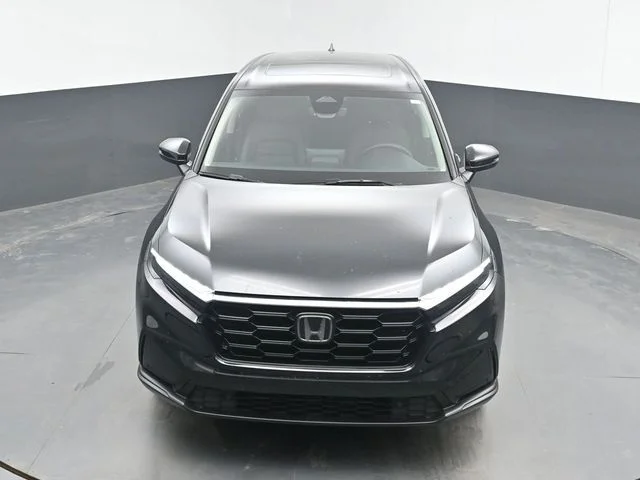 Used 2026 Black Honda EX-L image 13