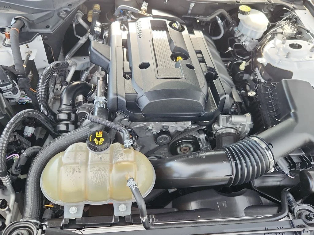 Used 2020 White Ford EcoBoost Premium image 16