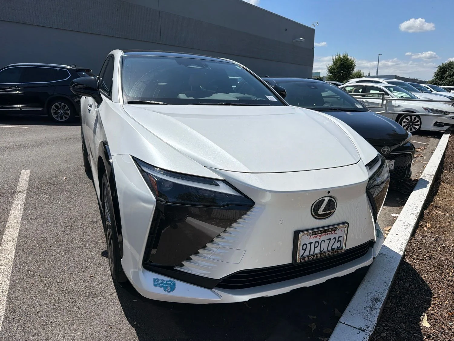 2025 Lexus RZ 450e 300e Luxury's photo
