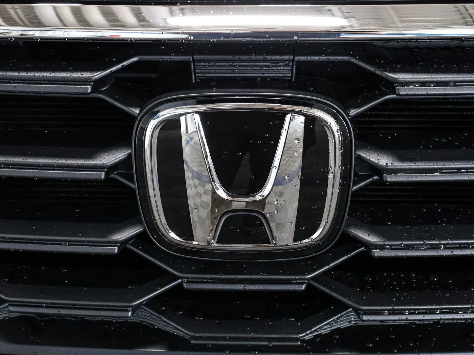 2025 Honda Pilot EX-L - Photo 13
