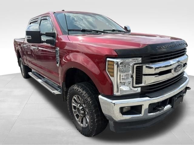 Used 2019 Red Ford XLT image 2