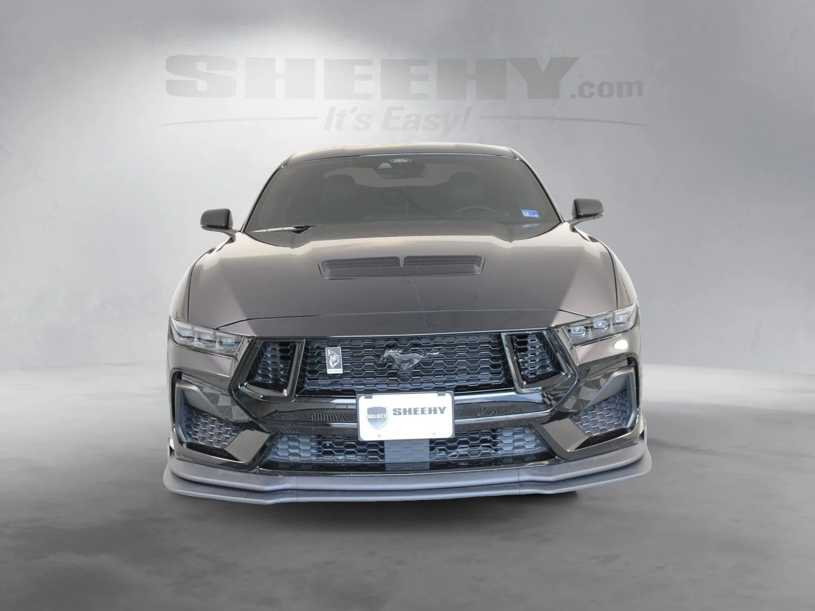 Used 2025 Black Ford GT Premium image 16